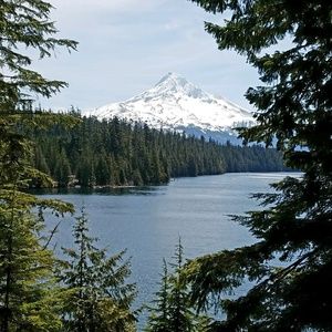 Meet your Posher, Caree